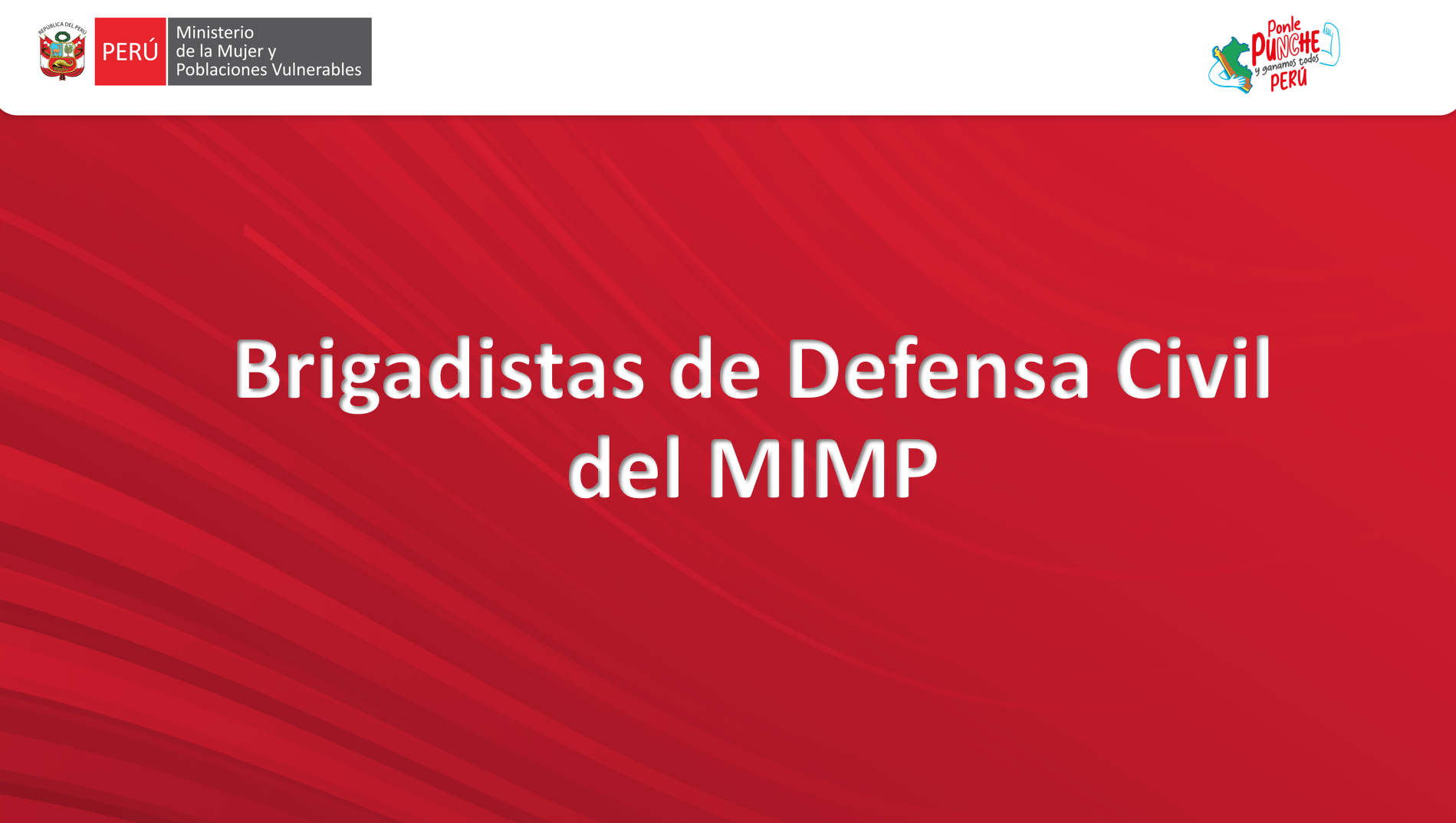 Brigadistas de Defensa Civil del MIMP