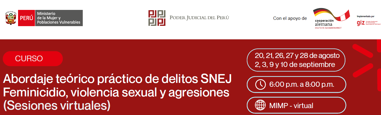 Abordaje teórico práctico de Delitos SNEJ Feminicidio, violencia sexual y agresiones (Sesiones virtuales)
